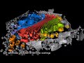 Accelerate and Advance service packages for cryo-tomography