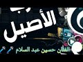 يهمك في ايه اغنيه عمرو دياب بصوت حسين عبد السلام 