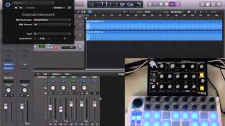 Sequencing the Moog Minitaur with Arturia's Beatstep