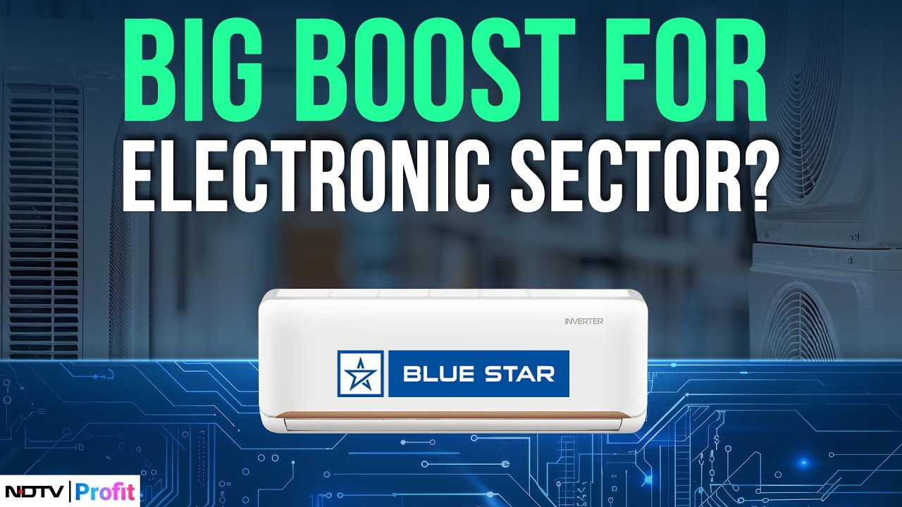 'Growth Will Be There' Why You Should Hold Bluestar Stock After A Month Dip | Stock Analysis