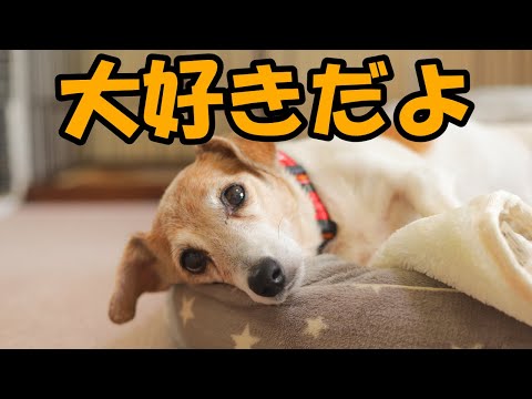 【ご報告】悲しいご報告をしなければなりません