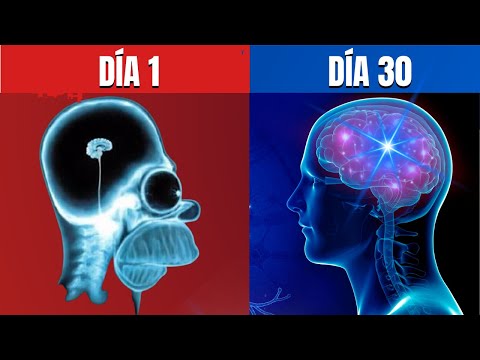 6 Hábitos para