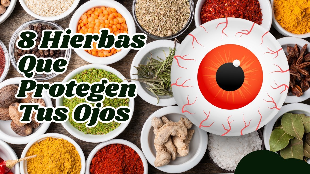 8 Hierbas Que Protegen Los Ojos Y Reparan La Visión - YouTube