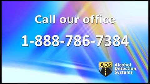 Alcohol Detection System