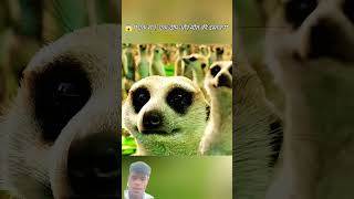 ladke ne dali apni jaan khatre me 😱😱#trending #facts #greenscreen #movie #viral #explore