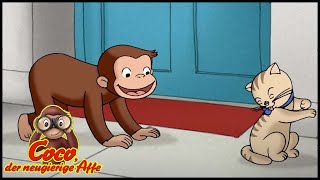 Coco der Neugierige Affe | Über Tiere lernen | Cartoons für Kinder screenshot 5