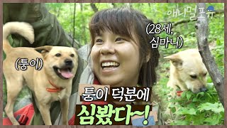 “심 봤다~~!!” 강아지랑 함께 산에 오른 초보 심마니 진여 씨. 마침내 발견한 산삼?! | 풋내기 약초꾼의 꿈 | KBS 인간극장 2018 방송