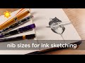 Nib sizes for pen and ink sketching