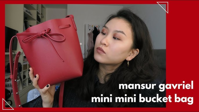 Review  Mansur Gavriel Mini Bucket Bag 