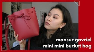 1 Yr Later: Mansur Gavriel Mini Mini Bucket Bag Review / sillyfacealice 
