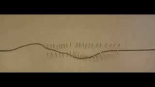 Transverse Waves - Destructive Interference