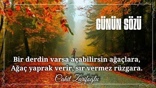 Bir Derdin Varsa Açabilirsin Ağaçlarawhatsapp Durum Sözleri Anlamlı Sözler Günün Sözü