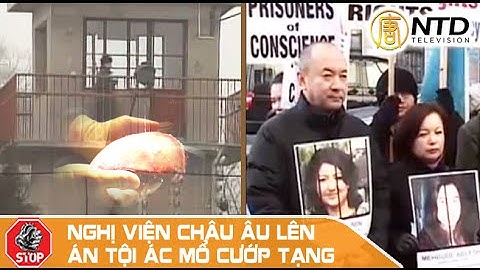 Tội ác mổ cướp nội tạng tại Trung Quốc được nêu lên ở Nghị viện Châu Âu