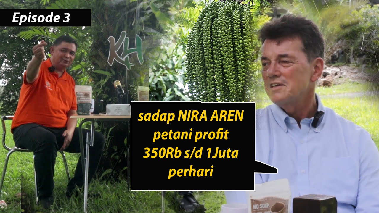 Pohon Aren dan Keistimewaannya