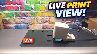 You Can Now Watch Your UV Prints LIVE (Eufy E1 Mod)