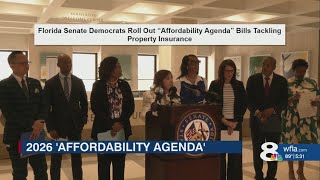 Florida Senate Democrats propose bill package for affordability crisis
