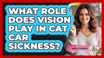 What Role Does Vision Play In Cat Car Sickness? - Happy Cat Handbook