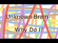 Unknown brainwhy do i feat bri tolani