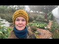 First frost at Oak Hill Cottage Garden - October 2020