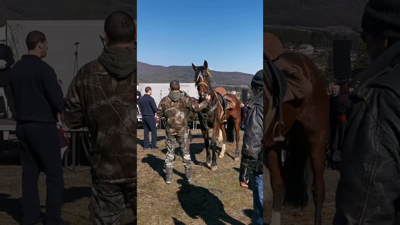 тодоровден🐎🐎🐎🏇🏇🏇