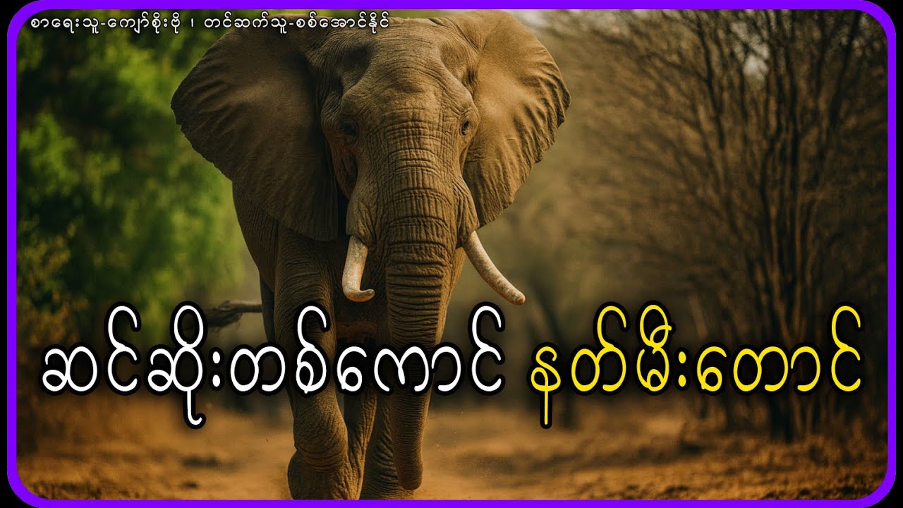 ဆင်ဆိုးတစ်ကောင် နတ်မီးတောင်