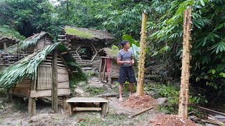 Survival instinct Forest Life, Wild Alone Building Life In 30 Days - Camping Alone In The Forest