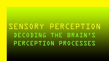 Decoding Sensory Perception  A Journey Through the Brain