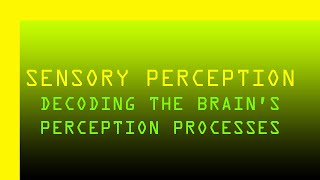 Famous Decoding Sensory Perception  A Journey Through the Brain Wealth