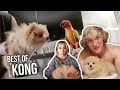 KONG DA SAVAGE BEST MOMENTS (feat. Logan, Ayla, Maverick)