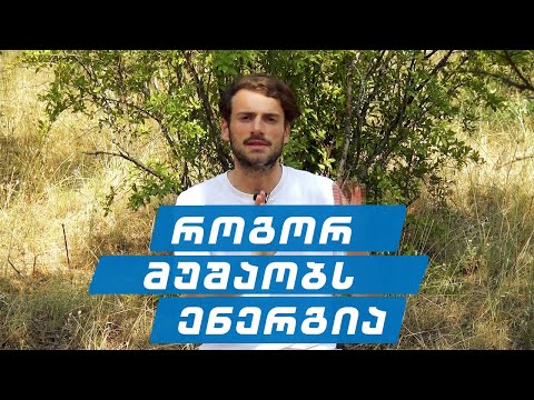 ენერგიის მუშაობის პრინციპები | დავით მამალაძე