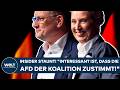 DEUTSCHLAND: Insider staunt! "Interessant ist, dass die AfD der Koalition zustimmt!"