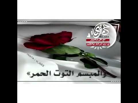 حالات واتس اب عبدالله ال مخلص المبسم التوت الحمر لاشفت في خده ندااه 