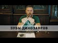 Зубы динозавров.  Рассказывает Павел Скучас