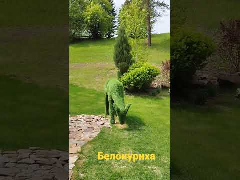 #Белокуриха#санаторий Россия, Марал-