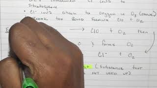 DNA Replication Foldable