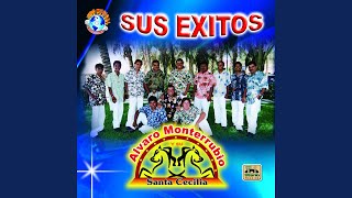 Video thumbnail of "Alvaro Monterrubio Y Su Banda Santa Cecilia - La Gatita"