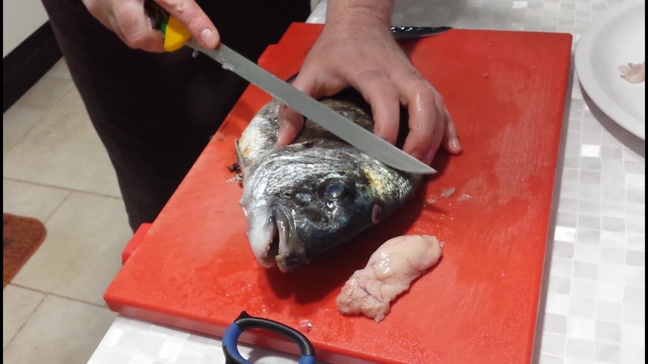 Pescasub: Sashimi di Sarago - Spearfishing