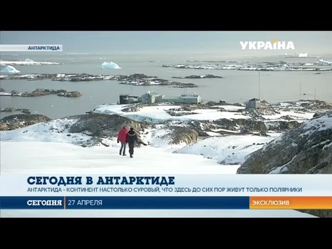 Video: Termofilní Mikroorganismus Z Ostrova Deception Island, Antarktidy S Termostabilní Aktivitou Glutamát Dehydrogenázy