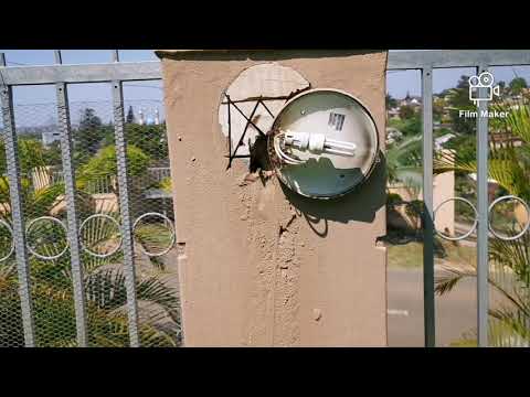 Extracting A Snake From A Wall Cavity