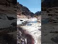 Slide Rock, Sedona Arizona.  4K Full Video Link is on comments!  #usa #nature