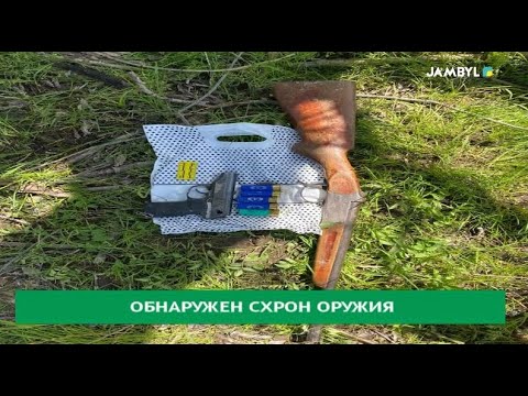 Обнаружен схрон оружия
