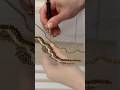 Chain sewing tutorial 🪡 #sewing #sewingtechniques #tutorial #embroidery #stiching #beading #diy