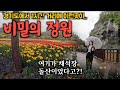 한국 튤립 축제의 비밀! 폐채석장의 놀라운 변신, 인공 폭포에 놀란 필리핀가족들 | 한필커플 Tulip Festival in Korea