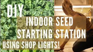 DIY Indoor Seed Starting Station: Affordable Setup with Shop Lights! by Regenerative Gardening with Blossom & Branch Farm 24,110 views 3 months ago 15 minutes