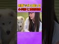 完全に鍵開け前の俺たちで草 #乃木坂46 #制服 #犬