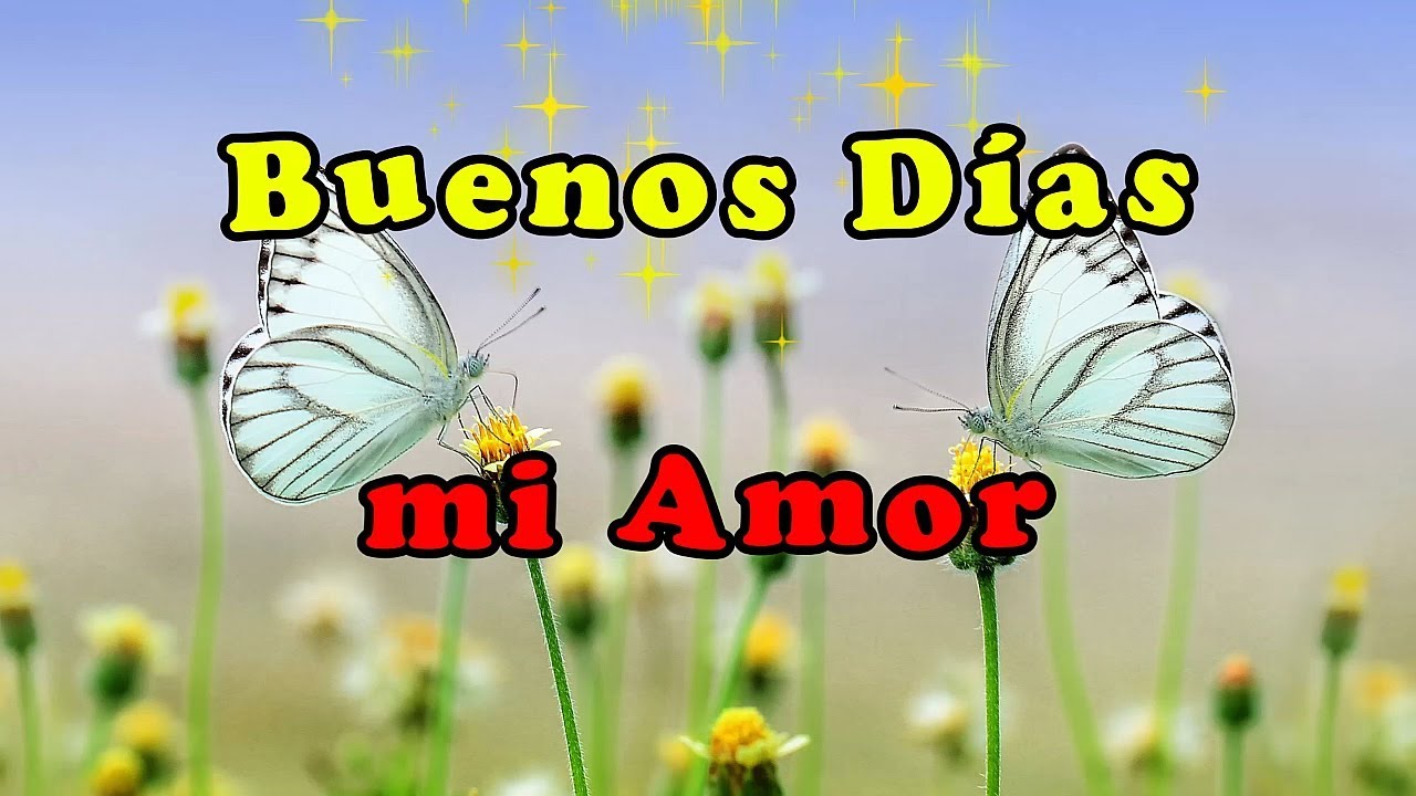Buenos Dias Mi Amor Que Tengas Un Lindo Dia Youtube