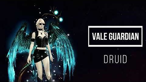 GW2 - W1 - Vale Guardian | Heal Alacrity Druid - example PoV & tips (tank and non-tank variant)