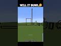Minecraft Will It Burn 🤔 #minecraft #shorts #funny