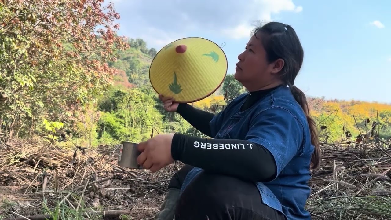 มัน￼สำปะปลูกไว้ 2 ปี ไปขาย  เมนูเที่ยงตำส้มตำ ปลาดุกย่าง