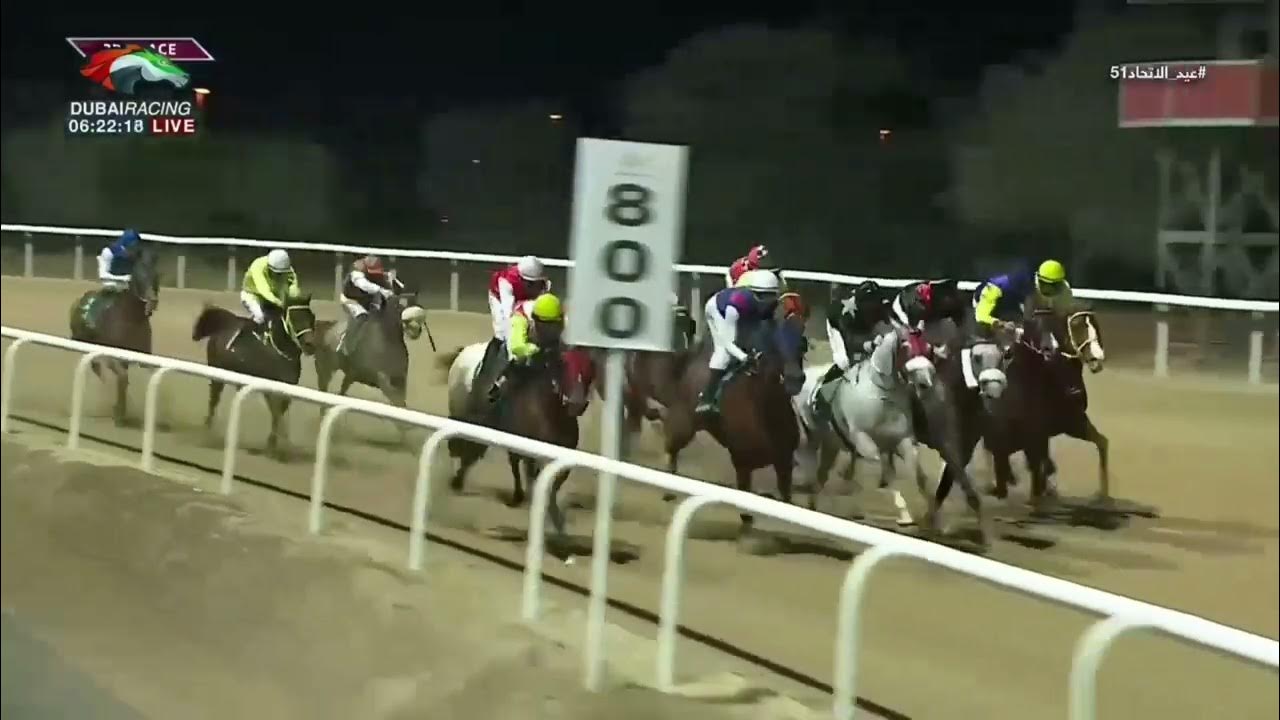 Скачки в дубае. Скачки дубай 2024 год. Конный спорт. Dubai world cup 2023. Трансляция из оаэ.